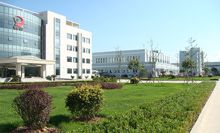 华人策略celue地址