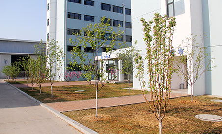 华人策略celue地址