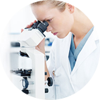 华人策略celue地址