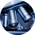 华人策略celue地址