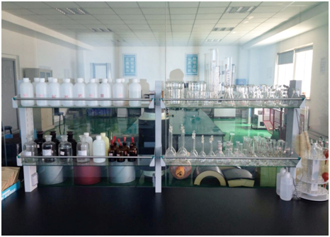 华人策略celue地址