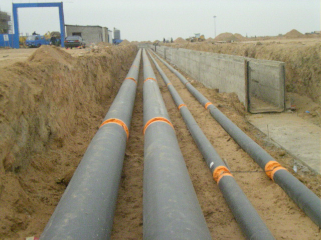 华人策略celue地址