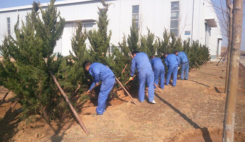 华人策略celue地址