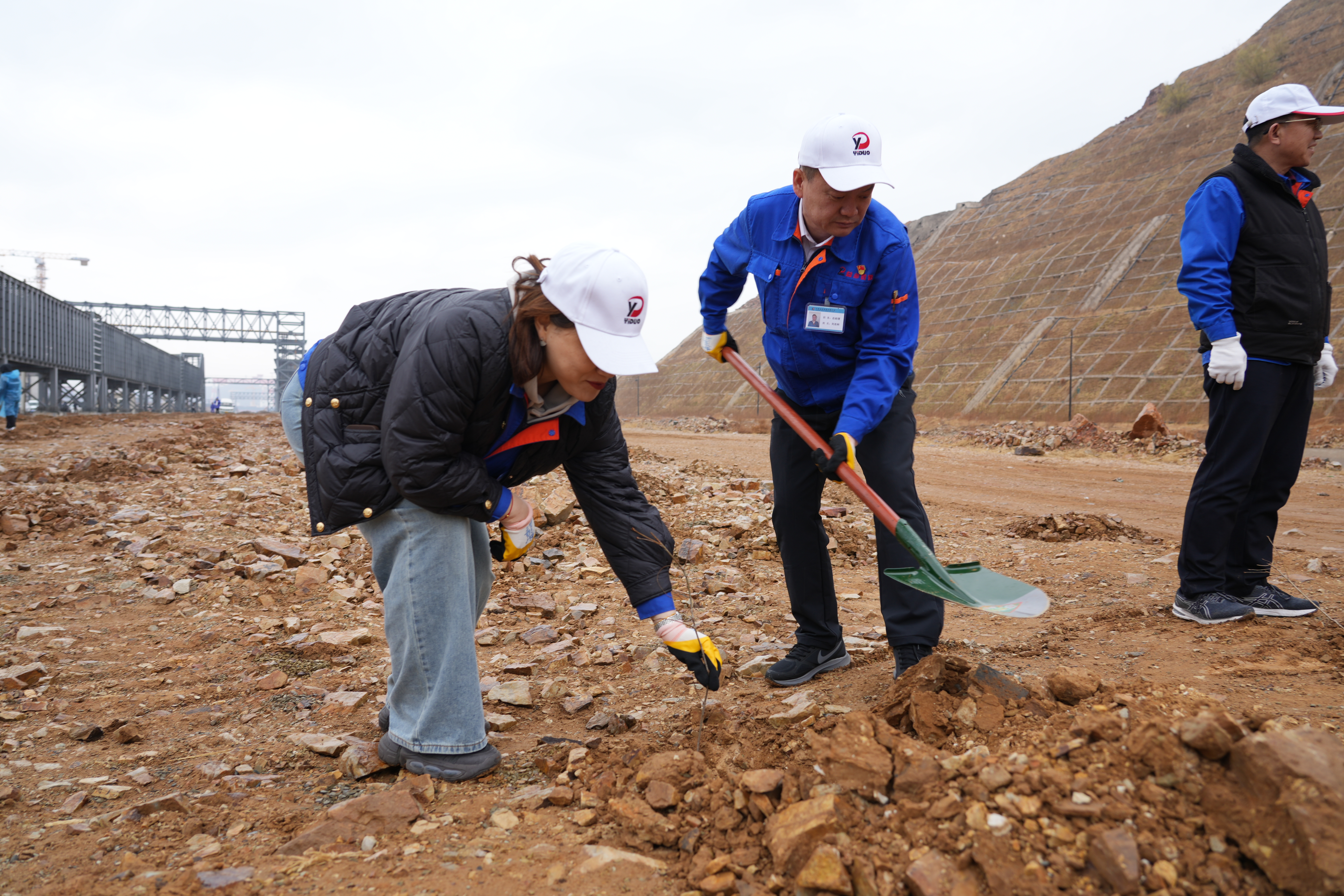 华人策略celue地址