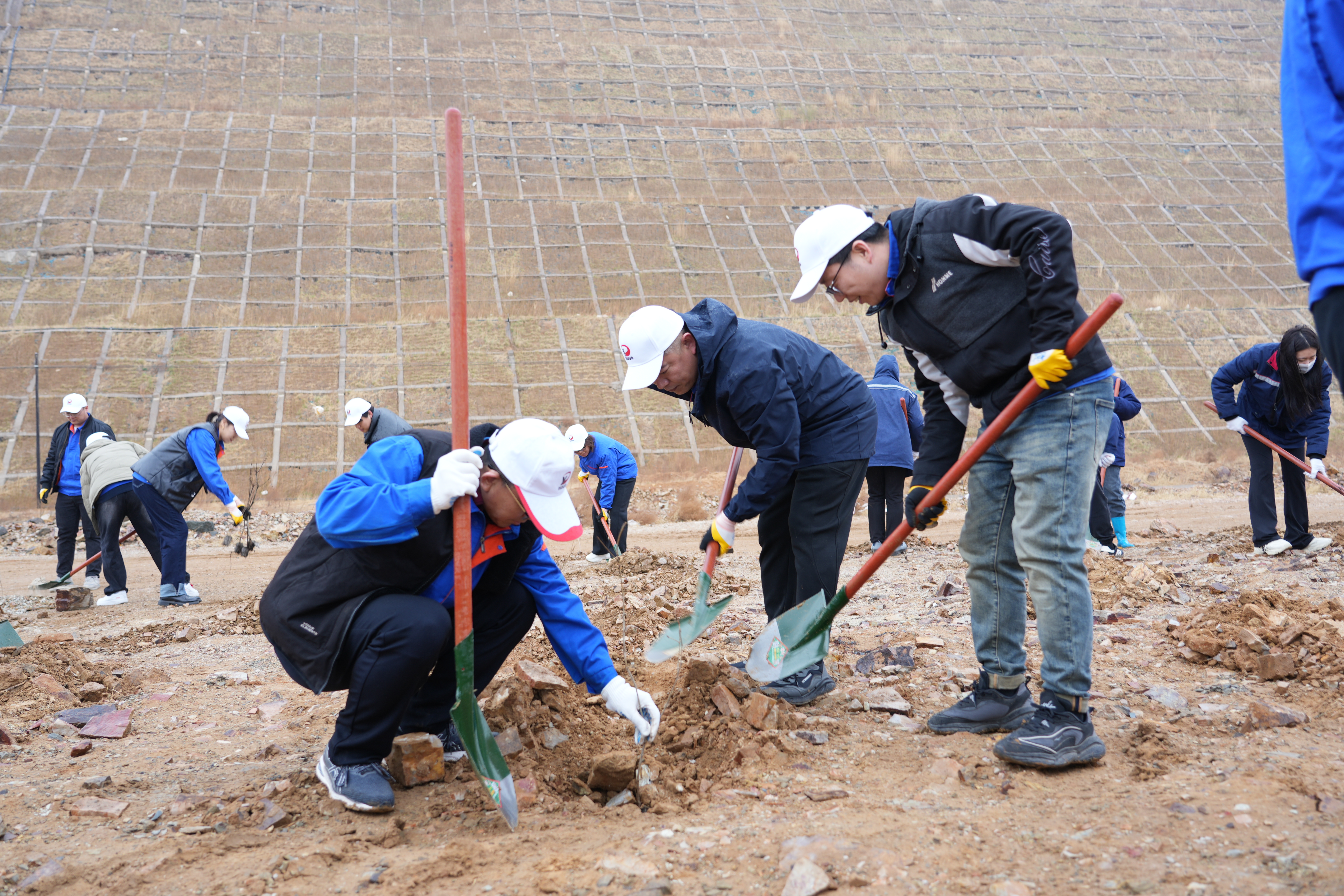 华人策略celue地址