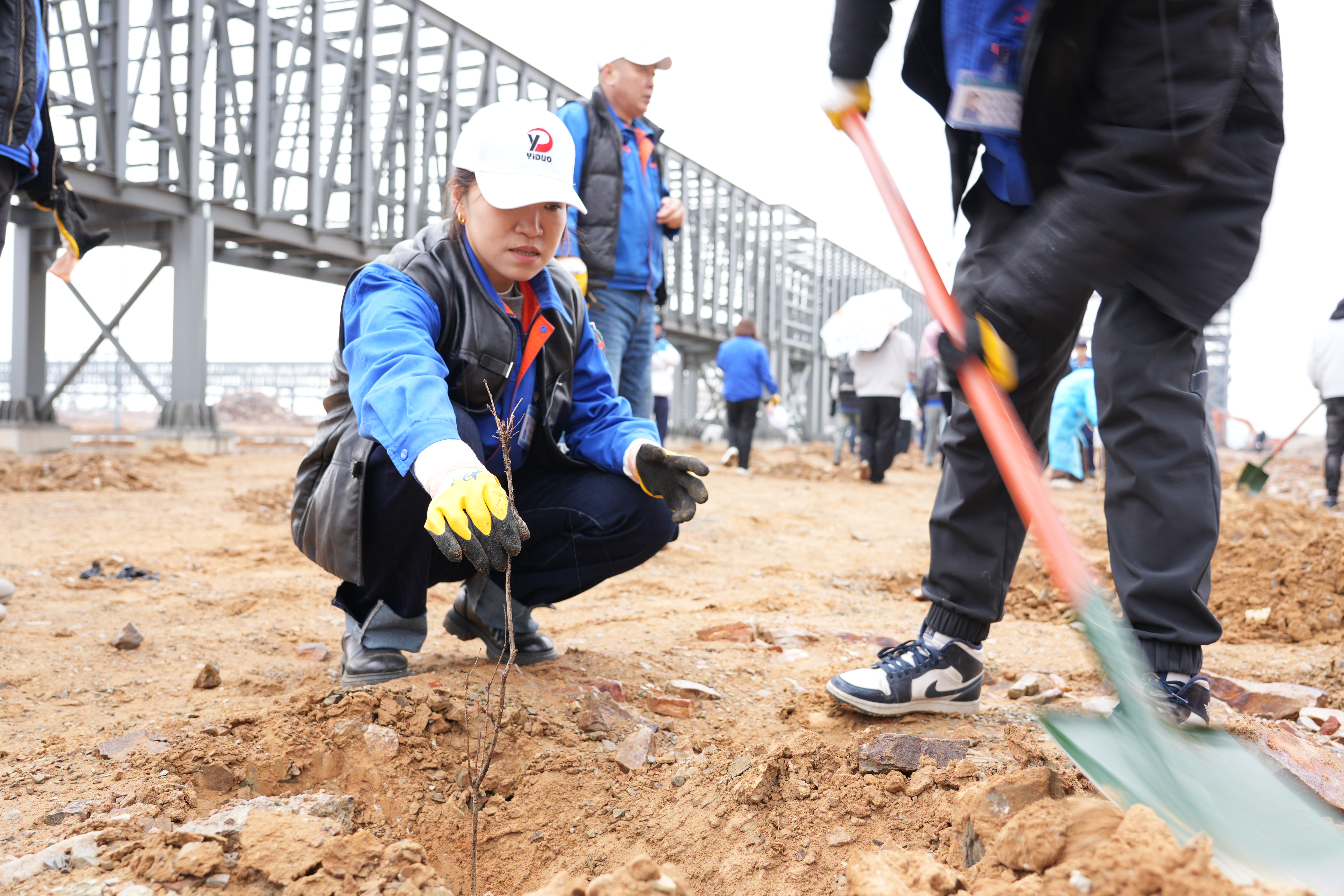 华人策略celue地址