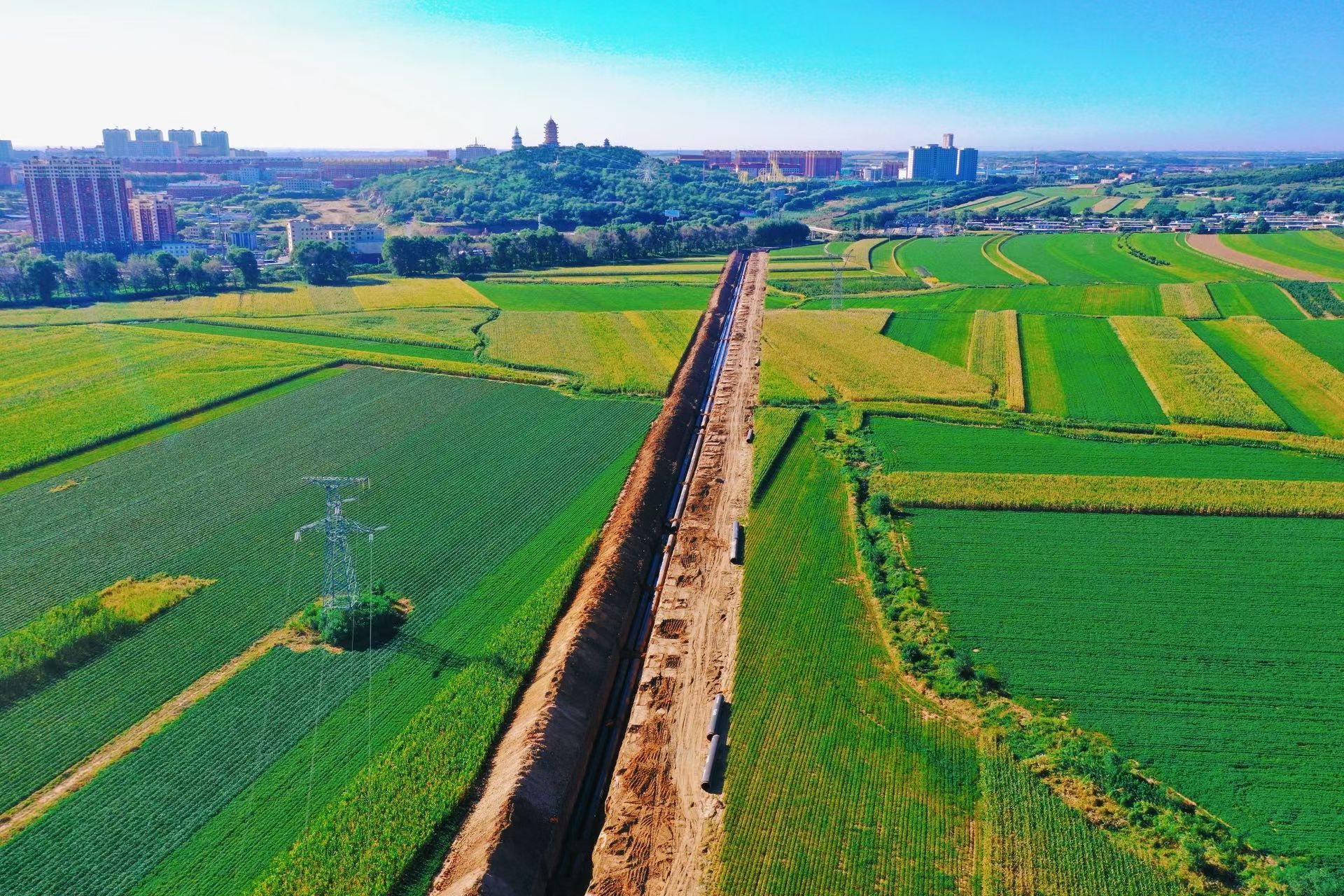 华人策略celue地址