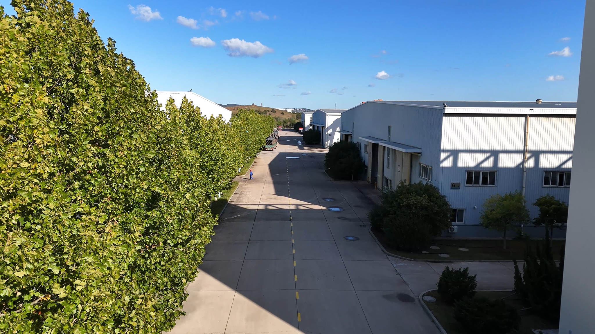 华人策略celue地址